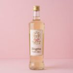 bagna analcolica